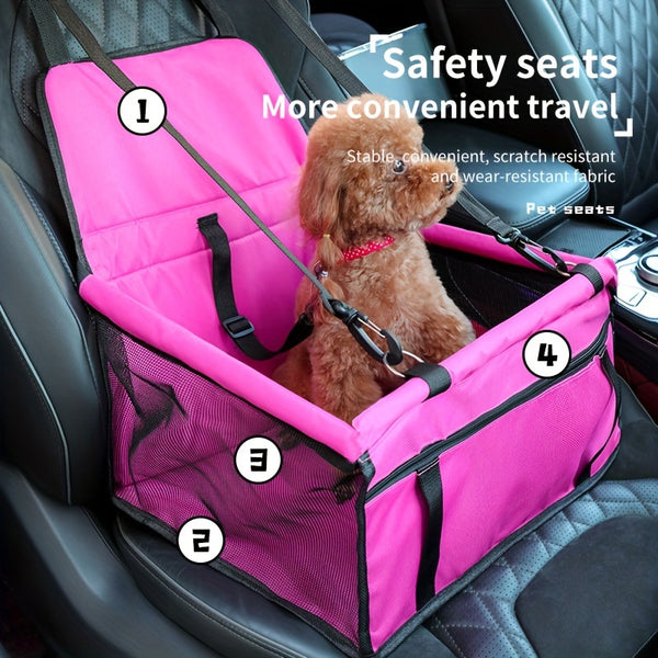 Safe & Stylish Travel Companion