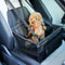 Safe & Stylish Travel Companion