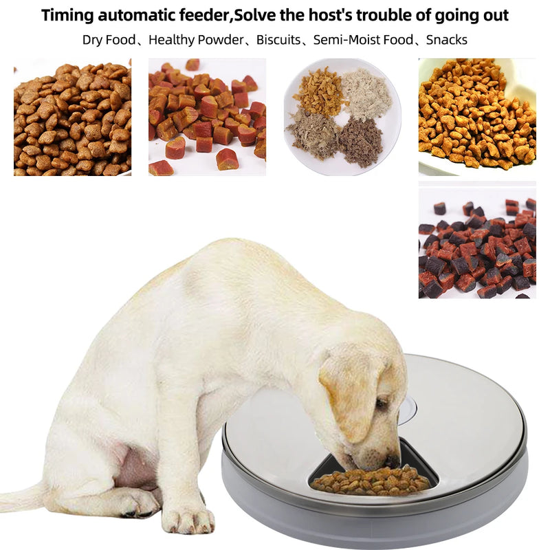Smart Food Dispenser For Cats & Dogs