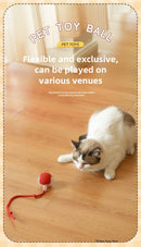 Rechargeable Smart Interactive Rolling Ball