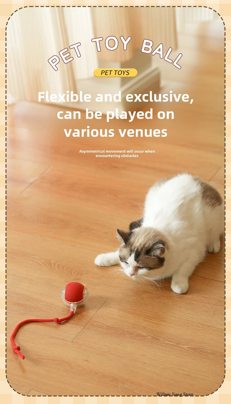 Rechargeable Smart Interactive Rolling Ball