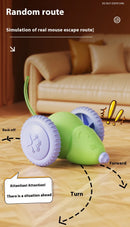 Interactive Cat Toy Rechargeable Automatic Teaser