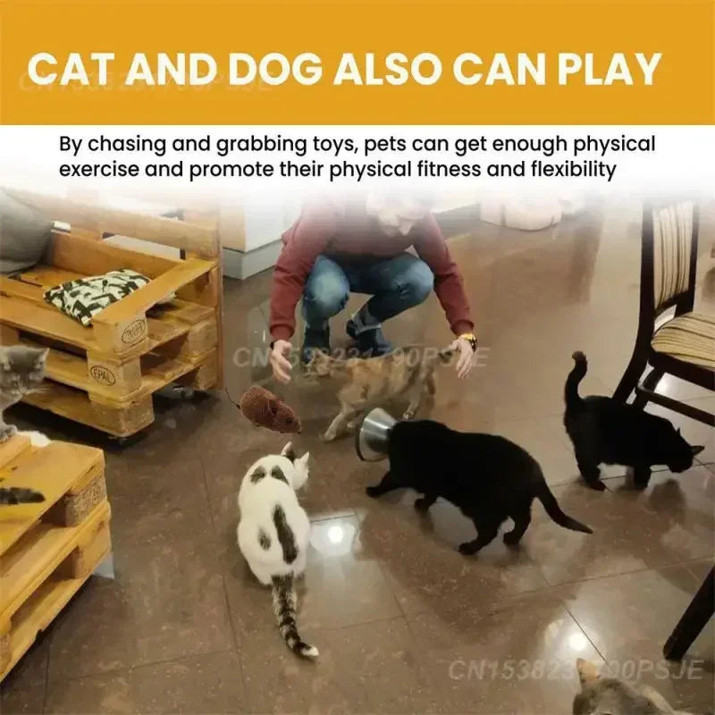 Smart Mouse Toy