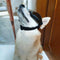 Adjustable Dog Goggles Sunglasses Anti-UV