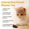 Smart Mouse Toy
