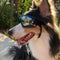 Adjustable Dog Goggles Sunglasses Anti-UV