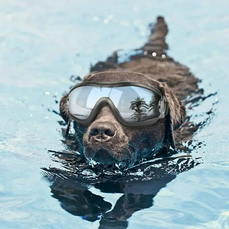 Adjustable Dog Goggles Sunglasses Anti-UV