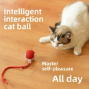 Rechargeable Smart Interactive Rolling Ball