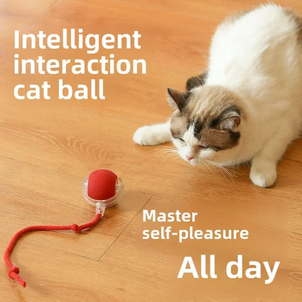Rechargeable Smart Interactive Rolling Ball