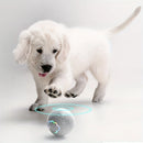 USB Automatic Bouncing Rolling Toy Ball