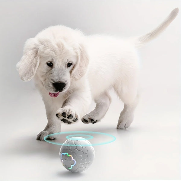 USB Automatic Bouncing Rolling Toy Ball