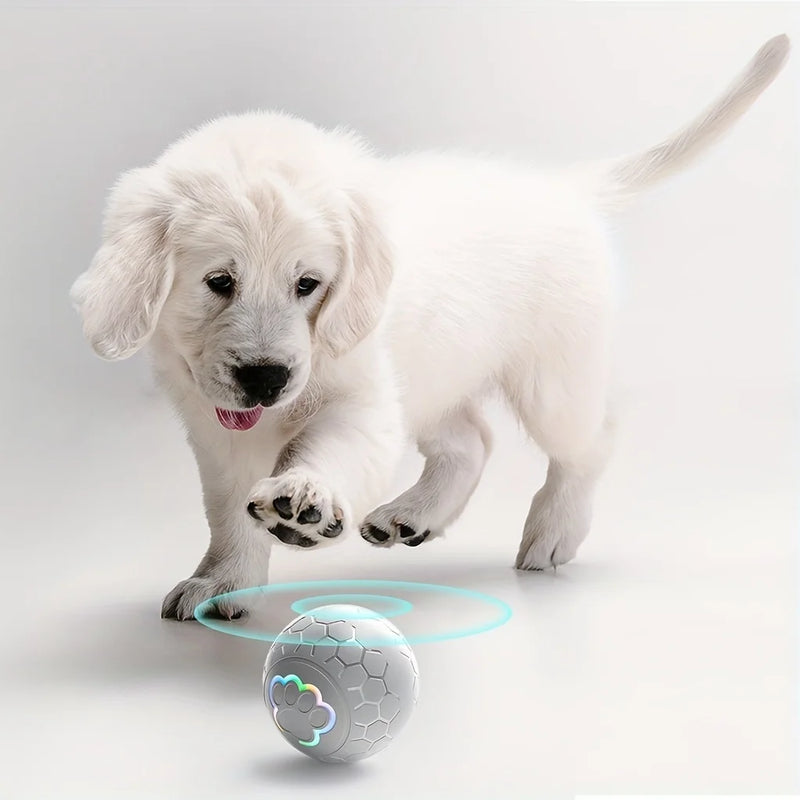 USB Automatic Bouncing Rolling Toy Ball