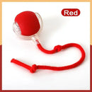 Rechargeable Smart Interactive Rolling Ball