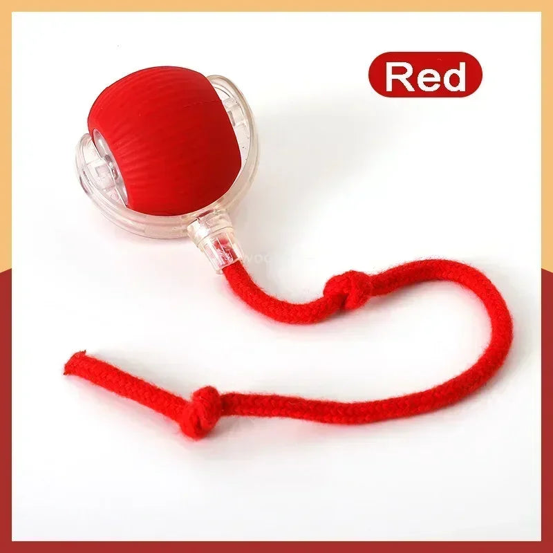 Rechargeable Smart Interactive Rolling Ball