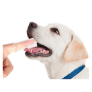Silicone Finger Cots Toothbrush Cats & Dogs