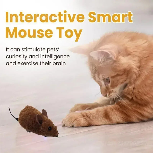 Smart Mouse Toy