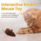 Smart Mouse Toy