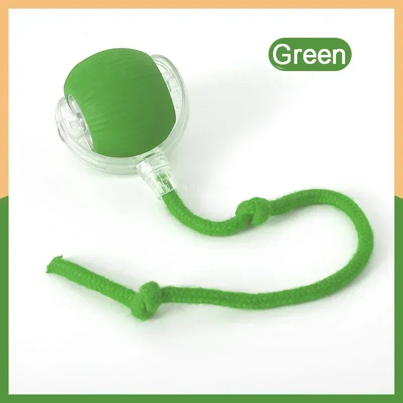 Rechargeable Smart Interactive Rolling Ball