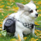 Multifunction Dog training bag