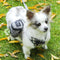 Multifunction Dog training bag