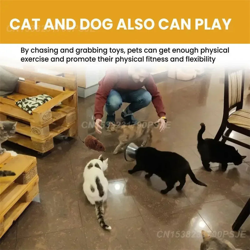 Smart Mouse Toy