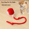 Rechargeable Smart Interactive Rolling Ball