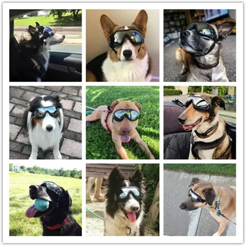 Adjustable Dog Goggles Sunglasses Anti-UV