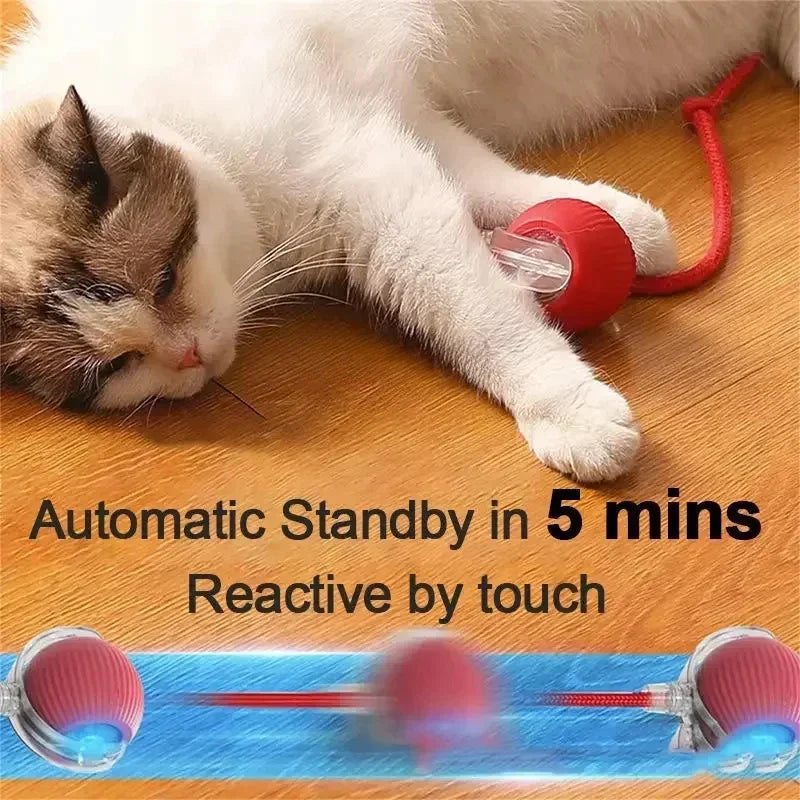 Rechargeable Smart Interactive Rolling Ball