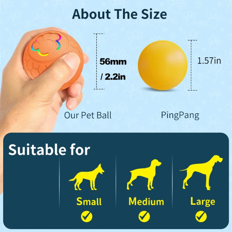 USB Automatic Bouncing Rolling Toy Ball