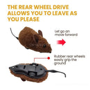 Smart Mouse Toy