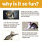 Smart Mouse Toy