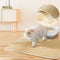 Waterproof Double Layer Cat Litter Trapping