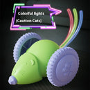 Interactive Cat Toy Rechargeable Automatic Teaser