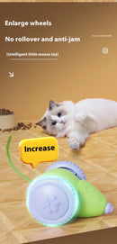 Interactive Cat Toy Rechargeable Automatic Teaser