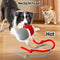 Rechargeable Smart Interactive Rolling Ball
