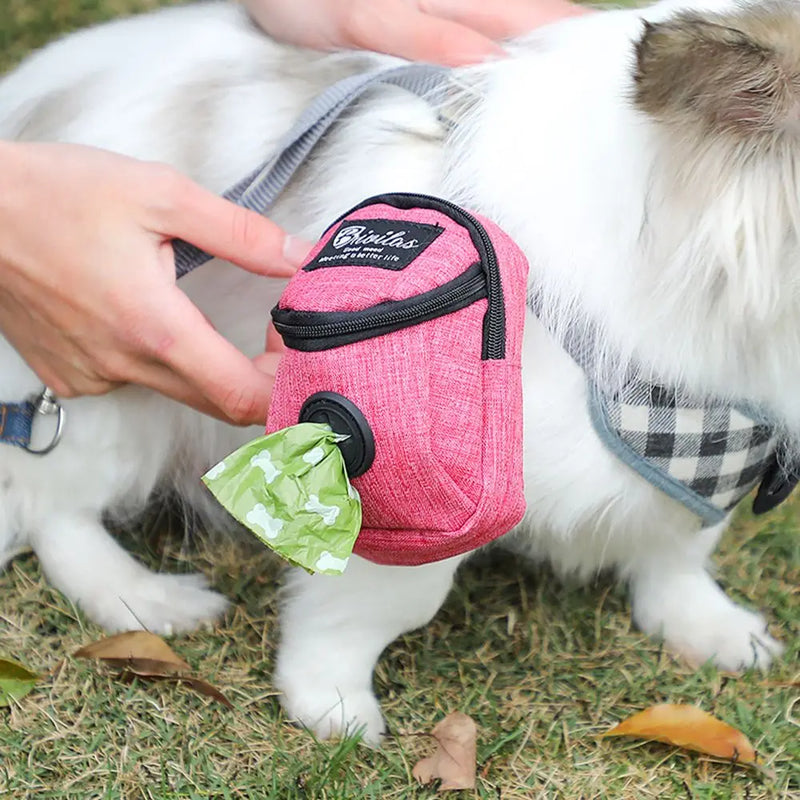 Multifunction Dog training bag