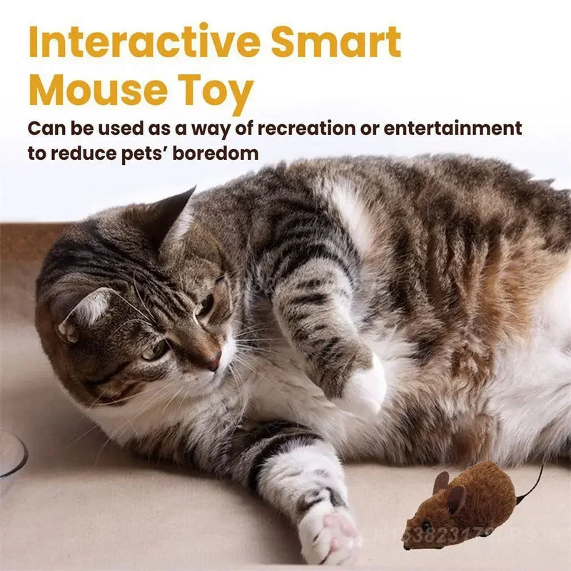 Smart Mouse Toy