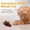 Smart Mouse Toy