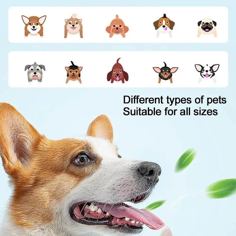 Three-Head Pet Toothbrush For Dogs And Cats