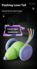 Interactive Cat Toy Rechargeable Automatic Teaser