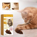 Smart Mouse Toy